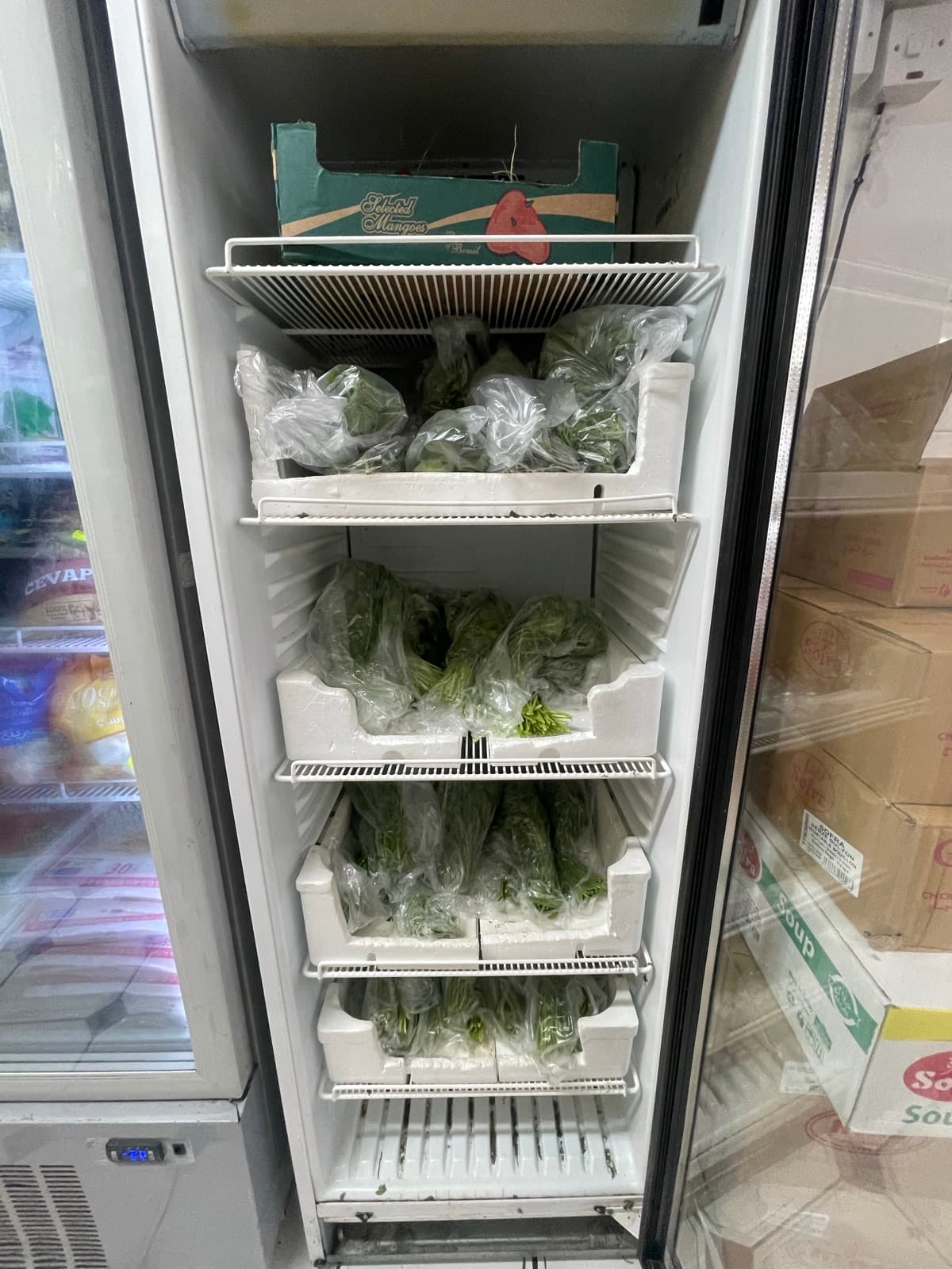 Frozen Foods on the shelves at Alhayat, 85–87 Lupus Street, Pimlico (photo 3)